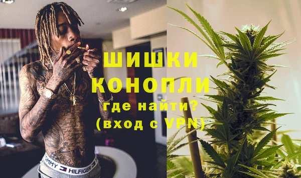 метадон Богданович
