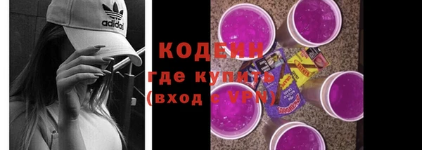 метадон Богданович