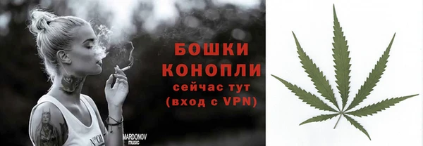СК Богородск