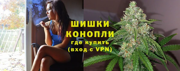 СК Богородск